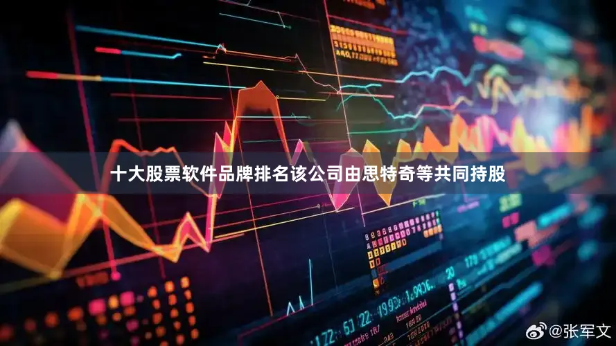 十大股票软件品牌排名该公司由思特奇等共同持股