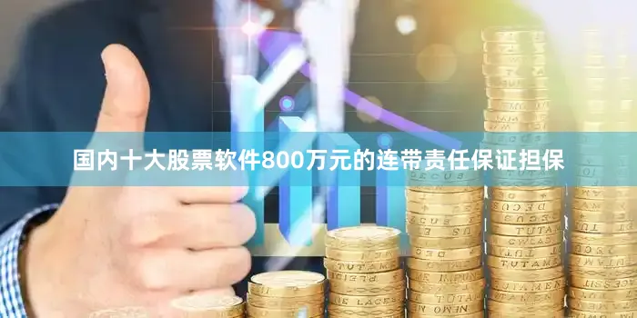 国内十大股票软件800万元的连带责任保证担保