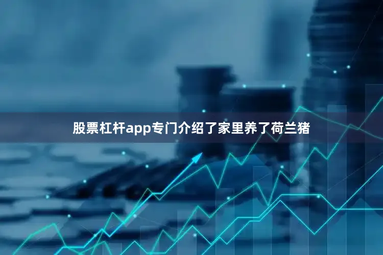 股票杠杆app专门介绍了家里养了荷兰猪