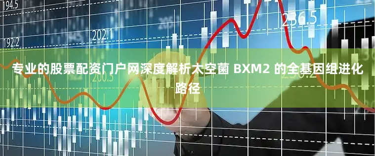 专业的股票配资门户网深度解析太空菌 BXM2 的全基因组进化路径