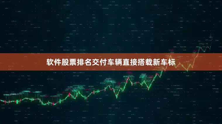软件股票排名交付车辆直接搭载新车标