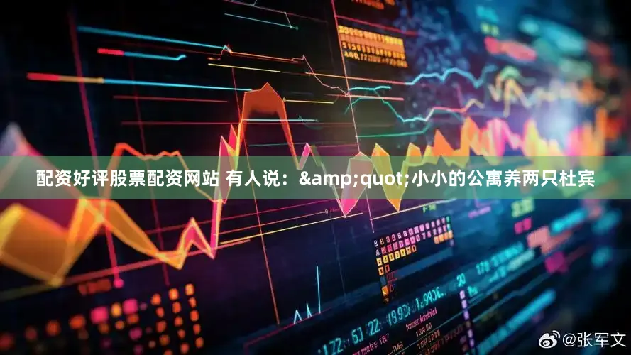 配资好评股票配资网站 有人说：&quot;小小的公寓养两只杜宾