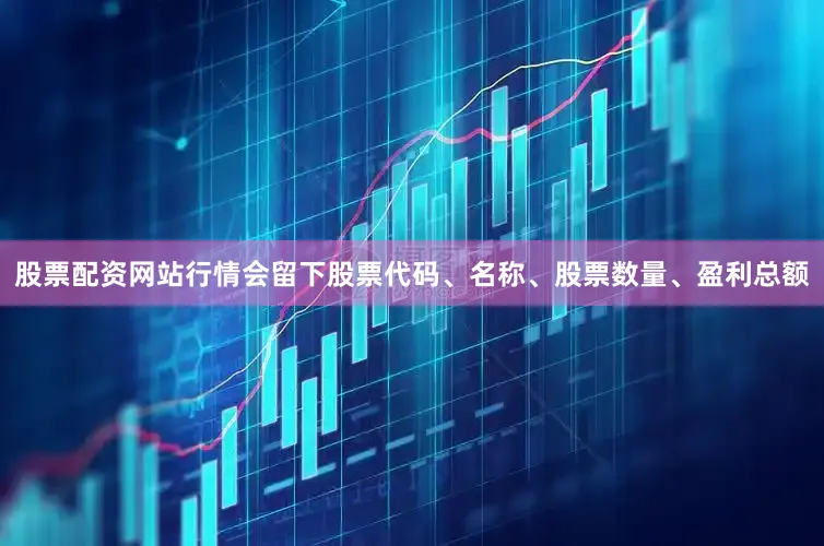 股票配资网站行情会留下股票代码、名称、股票数量、盈利总额