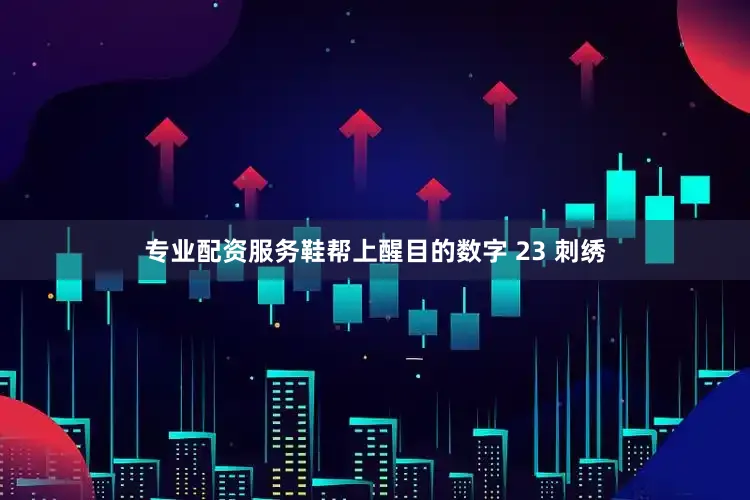 专业配资服务鞋帮上醒目的数字 23 刺绣